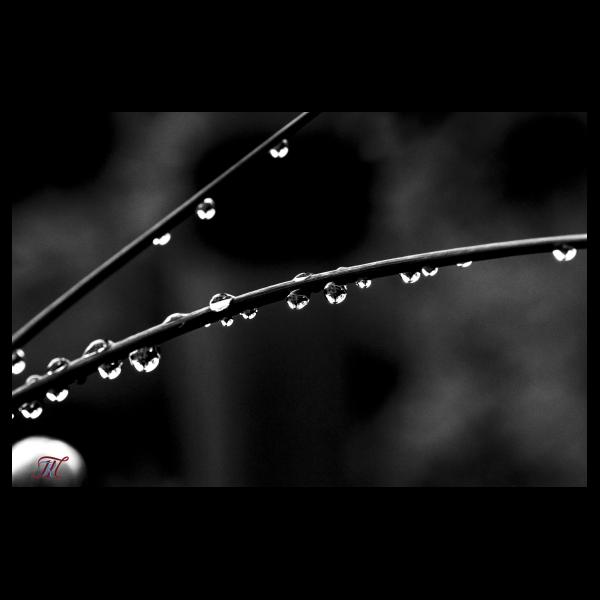 PHOTO84, CLUB, 84 , LUBERON